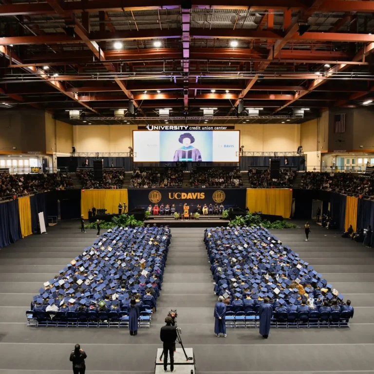 Court Armor Roll - UC Davis